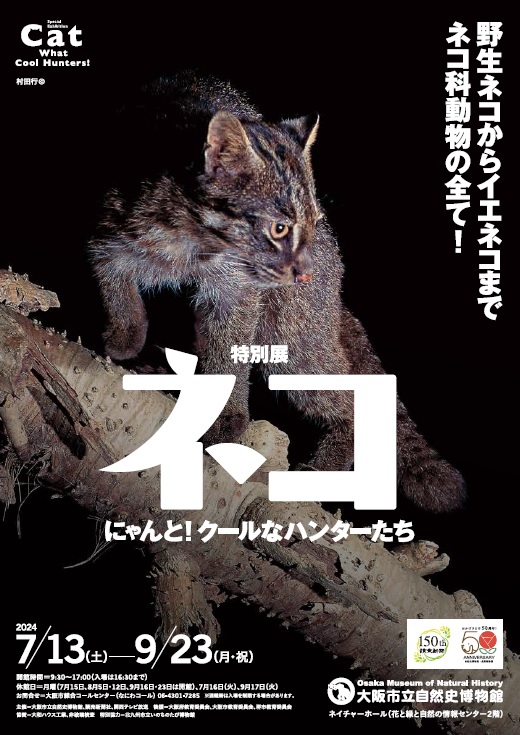 7/13（土）～9/23（月・祝）大阪市立自然史博物館　特別展「ネコ」 ～にゃんと！クールなハンターたち～